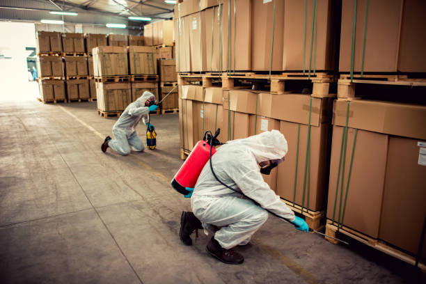 Best Affordable Pest Control Services  in Arroyo Seco, NM