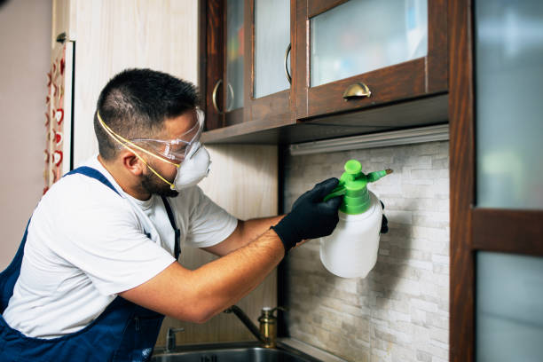 Best Affordable Pest Control Services  in Arroyo Seco, NM