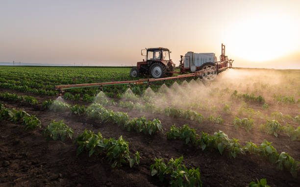 Best Pest Prevention Services  in Arroyo Seco, NM