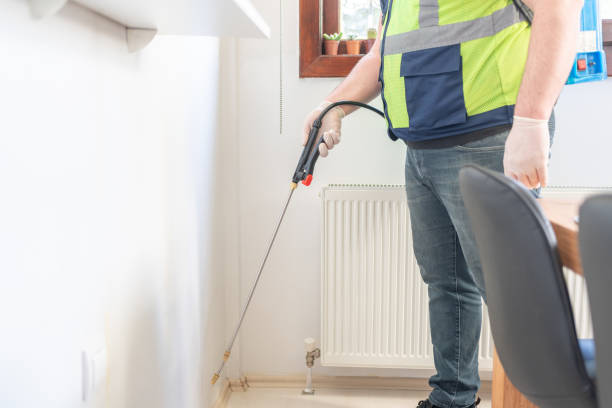 Best Emergency Pest Control  in Arroyo Seco, NM